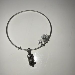 Silver Alex and ani bracelet with an owl charm